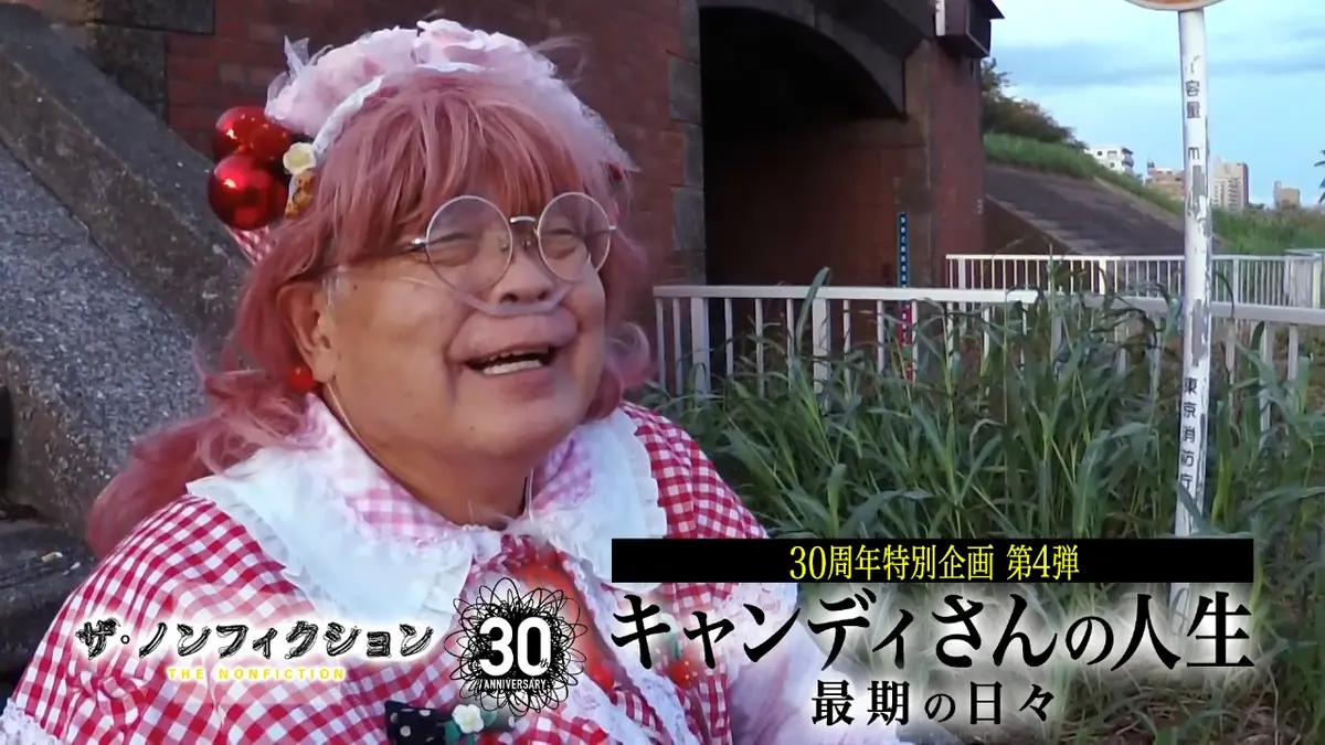 活動歴および当時の関連ビジュアル記録
