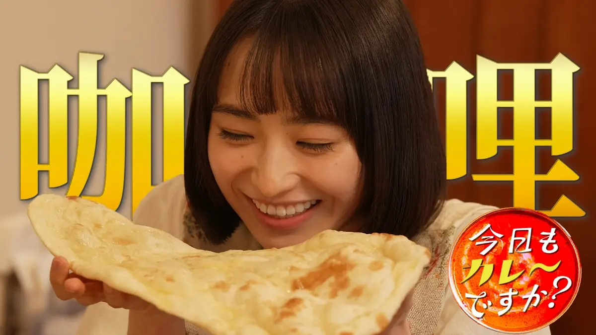 即決 カレー ナン 窯 現状 中川区十番町 早い者勝ち！ 【公式通販】
