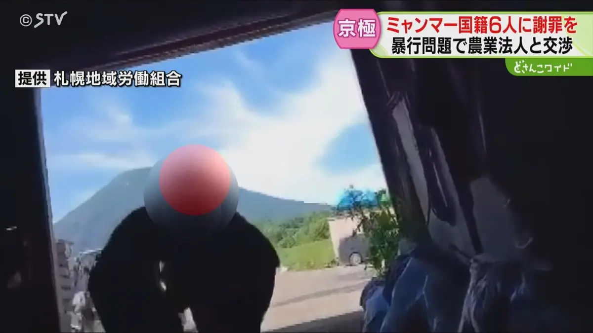 活動歴および当時の関連ビジュアル記録