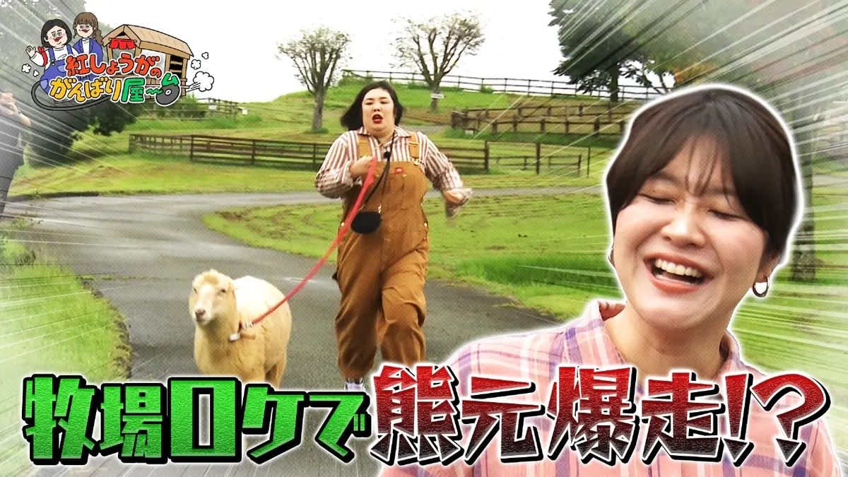 紅しょうがのがんばり屋～台 めざせ！熊本のプロです 11月15日(土)放送