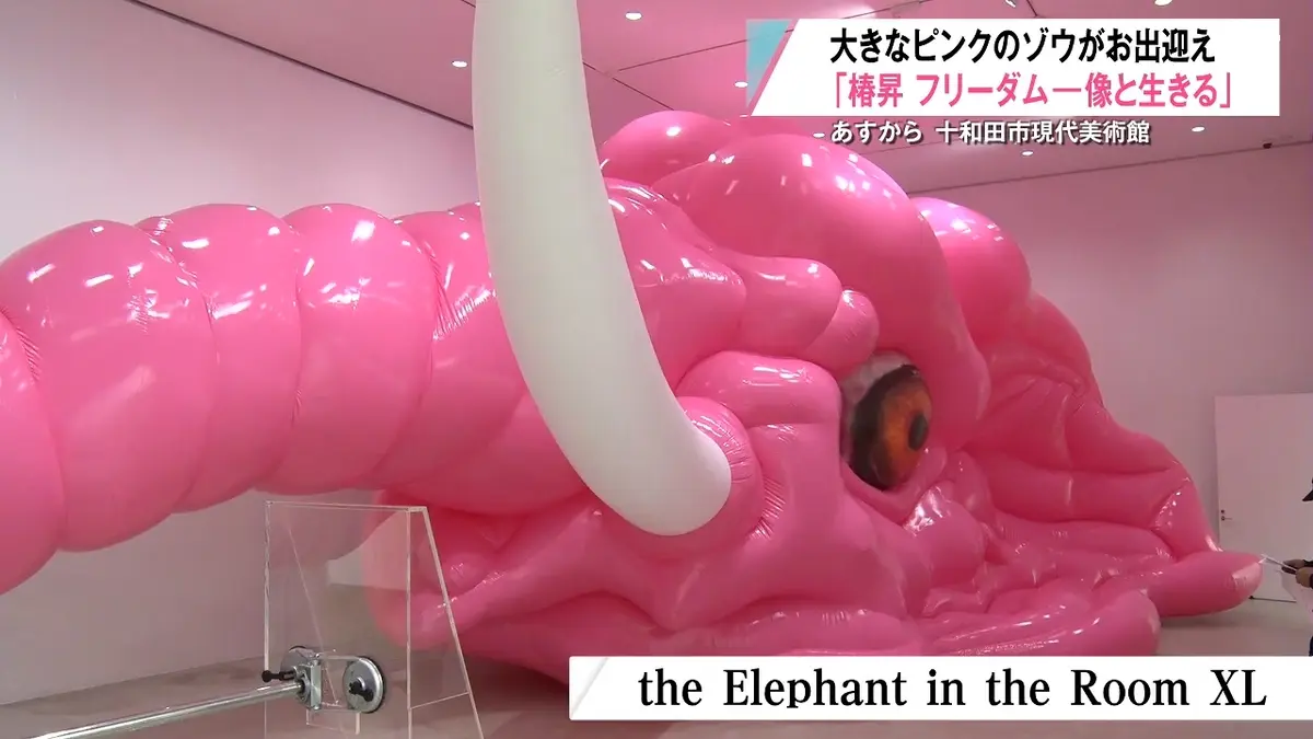 日テレNEWS NNN 6月5日(金) 19:15 現代美術家・椿昇さんの特別展が