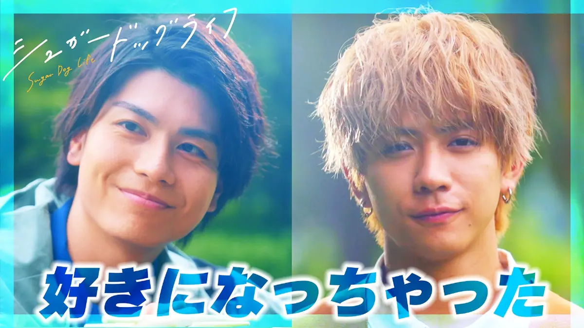 シュガードッグライフ 2024年放送 #5 恋が実るお弁当｜ドラマ｜見逃し