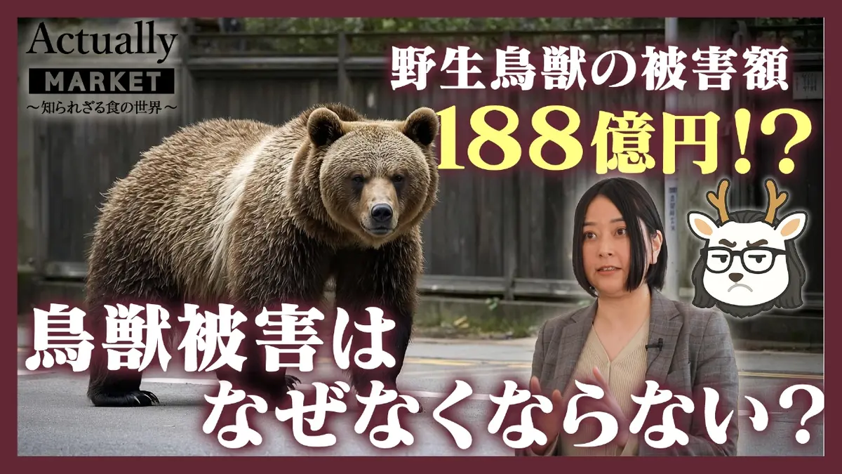 Actually MARKET 知られざる食の世界 3月8日(日)放送分 鳥獣被害はなぜ