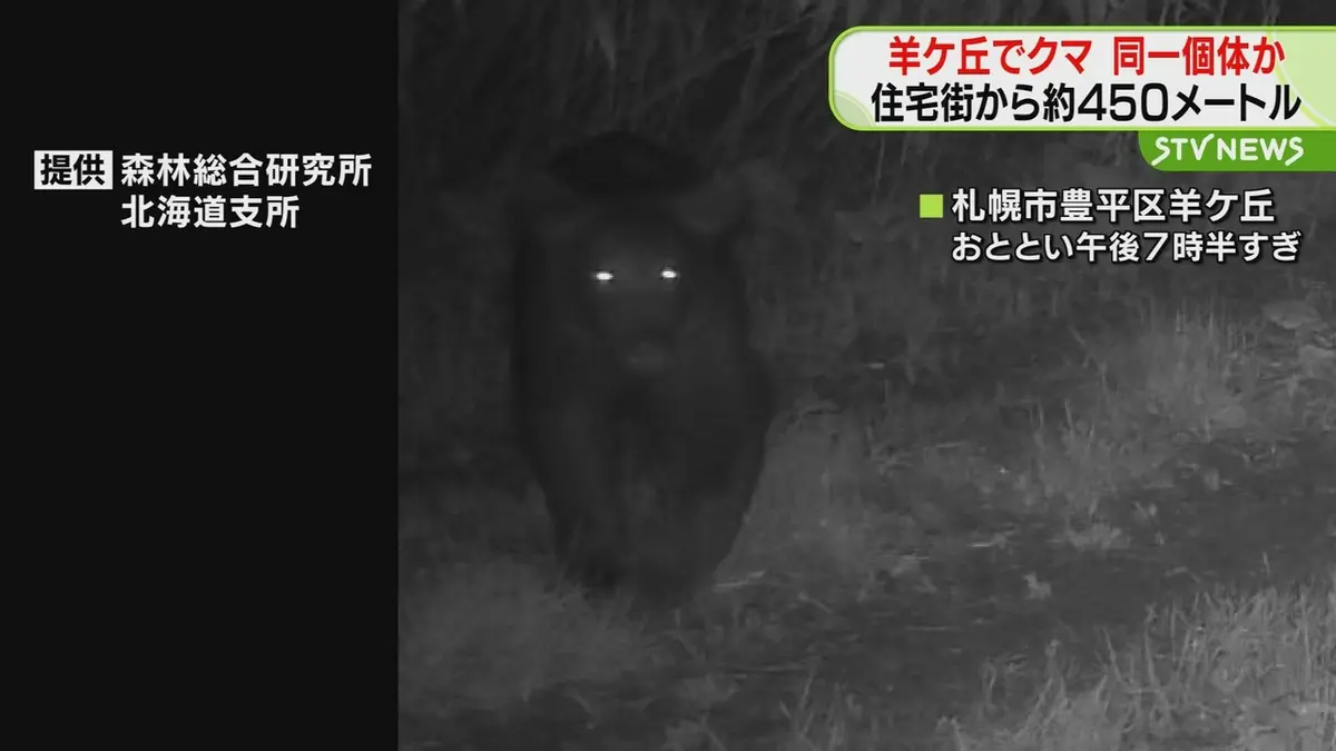 日テレNEWS NNN 5月15日(金) 12:13 固定カメラを見つめるクマ 羊ケ丘
