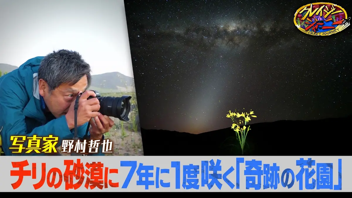 クレイジージャーニー 1月5日(月)放送分 7年に1度の奇跡☆砂漠が360度