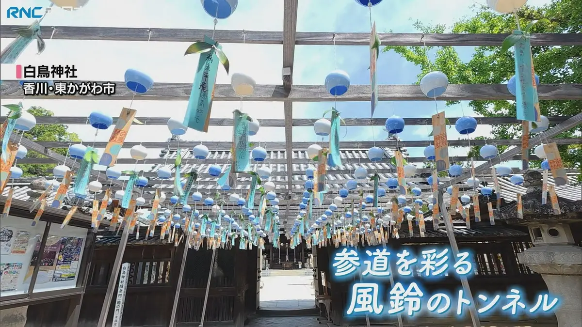 日テレNEWS NNN 7月16日(木) 18:44 風鈴が奏でる涼やかな音色 東かがわ