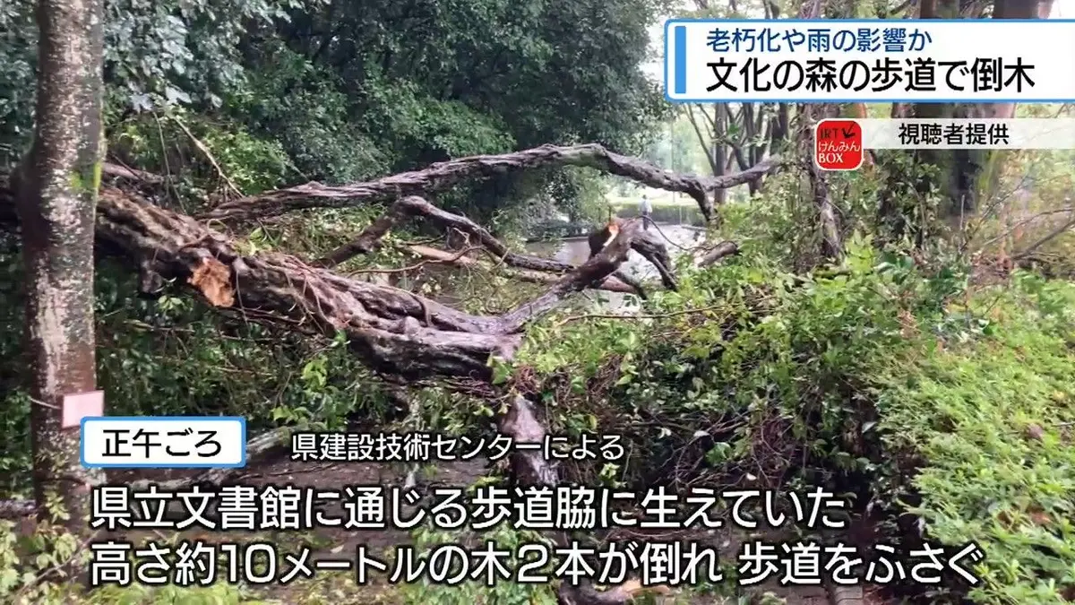 日テレNEWS NNN 9月16日(水) 18:20 「あわや大惨事」文化の森で高さ