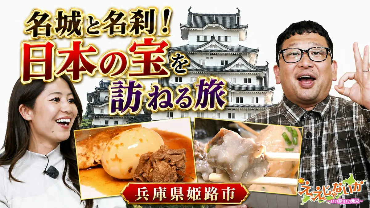 [28日まで]テレビ 新・ええじゃないか 6月8日(月)放送分 ＃167 名城と名刹！日本の宝を