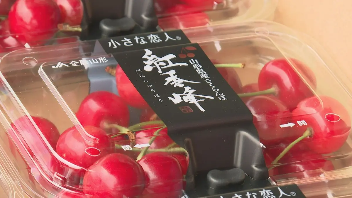 日テレNEWS NNN 6月19日(金) 19:39 紅秀峰の出荷スタート 甘みと大粒が