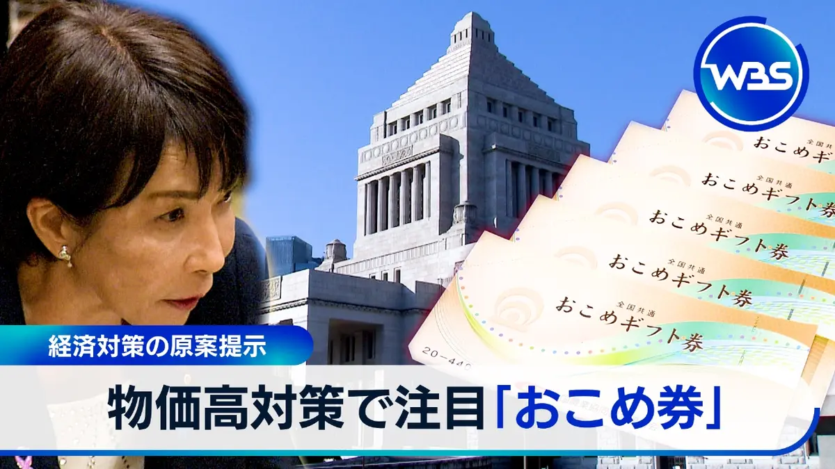 WBS（ワールドビジネスサテライト） 11月13日(木)放送分 経済対策の