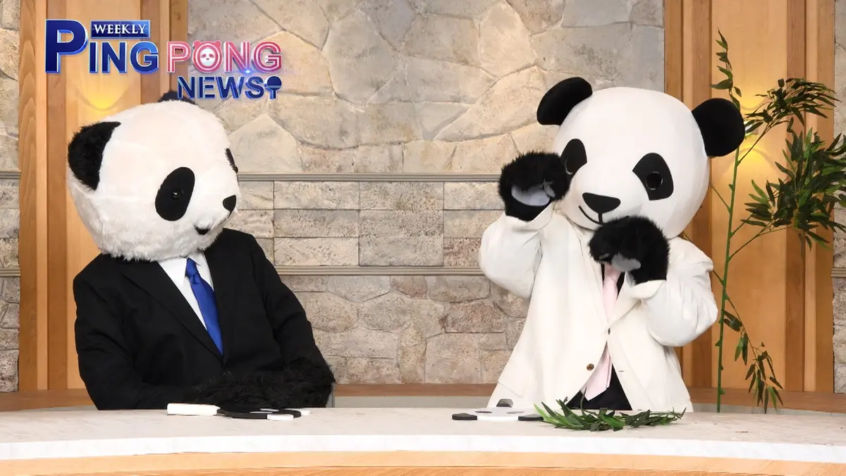 WEEKLY PING PONG NEWS 1月31日(土)放送分 卓球界