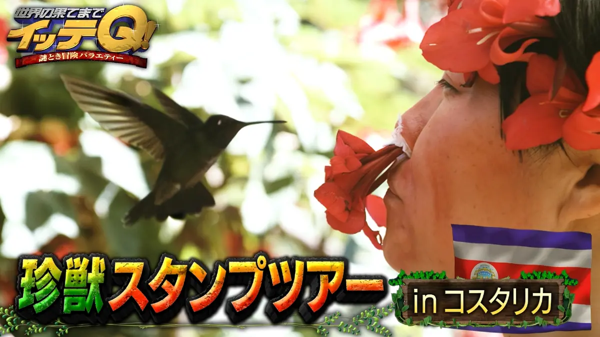 世界の果てまでイッテQ！ 3月1日(日)放送分 コスタリカで珍獣発見10