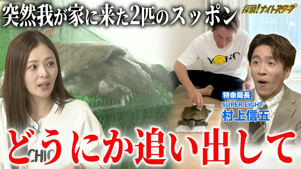 探偵 ナイトスクープ 関東