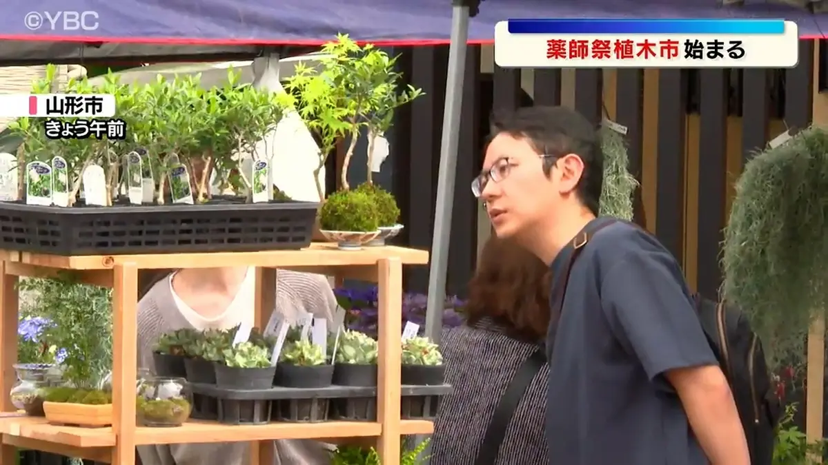 日テレNEWS NNN 5月8日(金) 13:44 日本三大植木市の1つ「薬師祭植木市