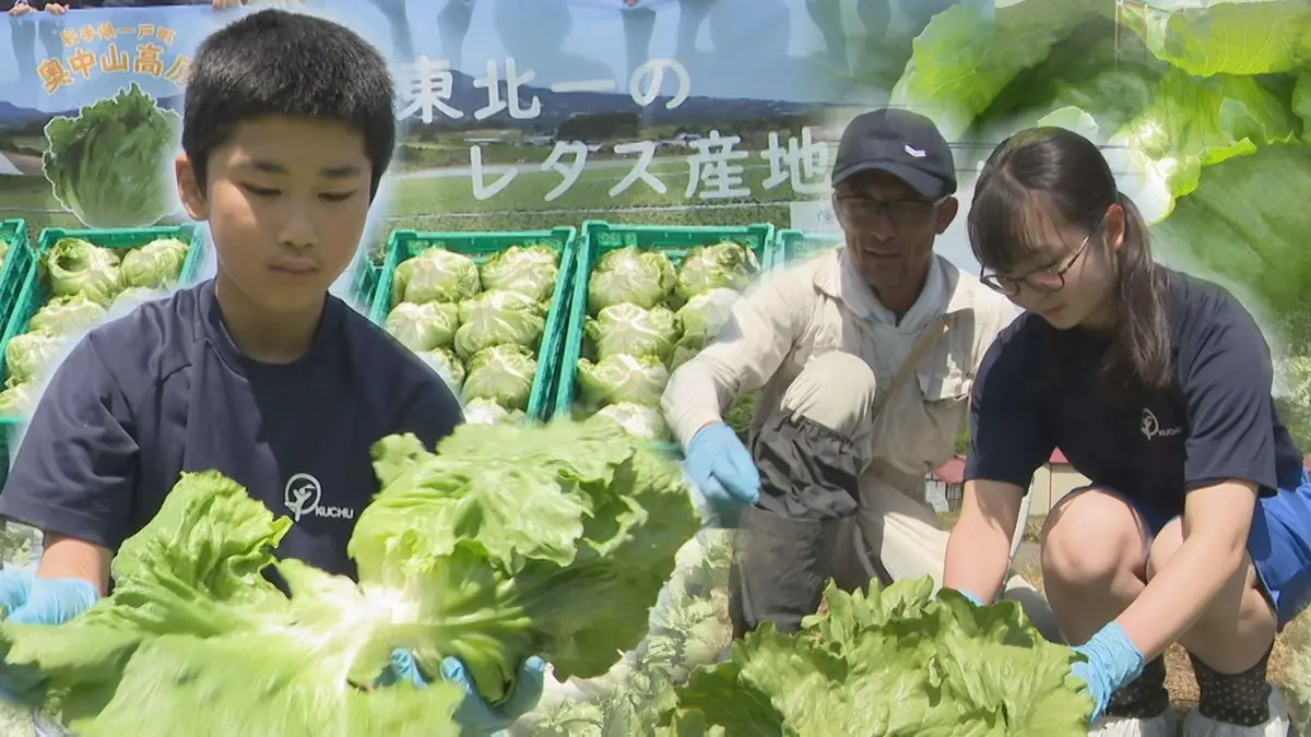 日テレNEWS NNN 7月8日(水) 18:33 【東北一の生産量】「奥中山高原