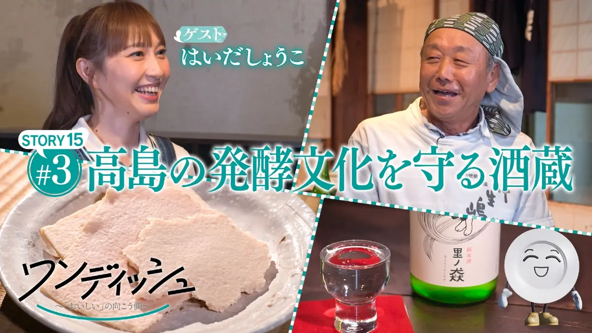 はいだしょうこ 夫 職業