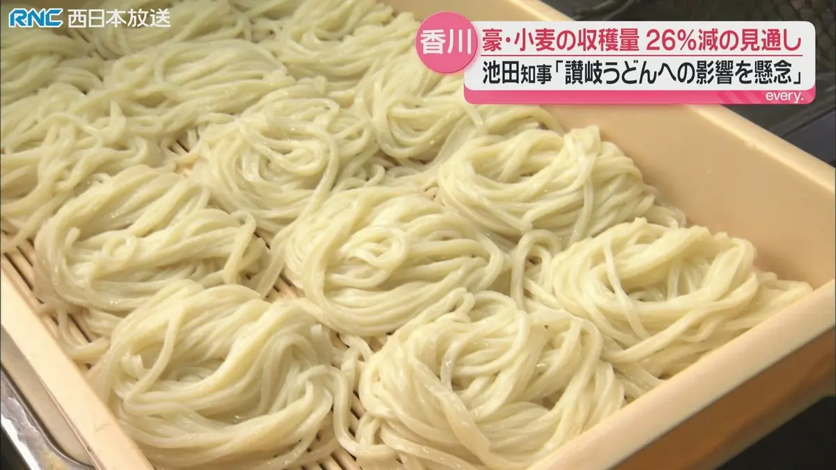 日テレNEWS NNN 6月8日(月) 18:40 うどんにも影響が