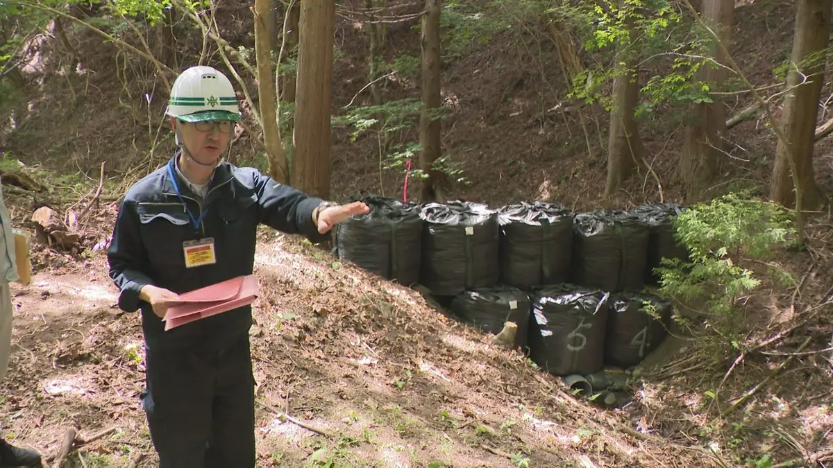 日テレNEWS NNN 6月18日(木) 18:46 【山林火災被害】大槌町で土砂災害