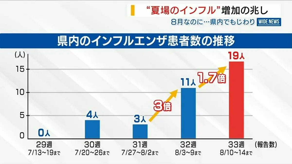 夏 の インフルエンザ
