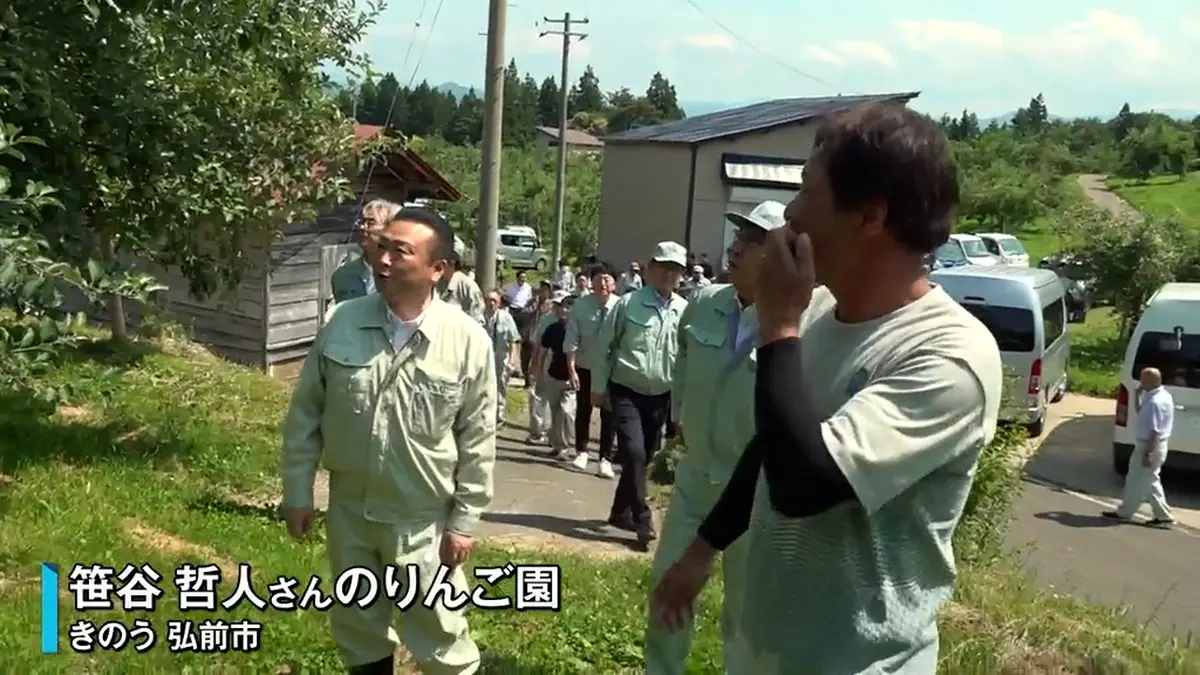 日テレNEWS NNN 7月2日(木) 12:02 りんご生産者支援 弘前市 修復資材も