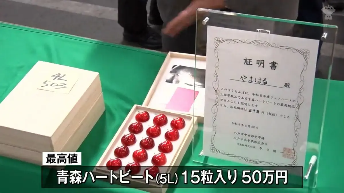 日テレNEWS NNN 6月20日(土) 11:58 初せり「ハートビート」1粒3万円