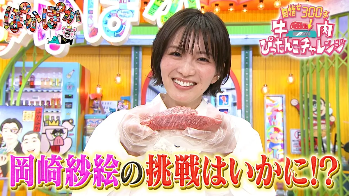 2168様感謝‼️超絶江戸期粉本「牛若丸と天狗と天狗、唐獅子、仙人』ほか肉筆10点 ぽかぽか 1月8日(木)放送分 木曜（3）岡崎紗絵が牛肉ぴったんこ