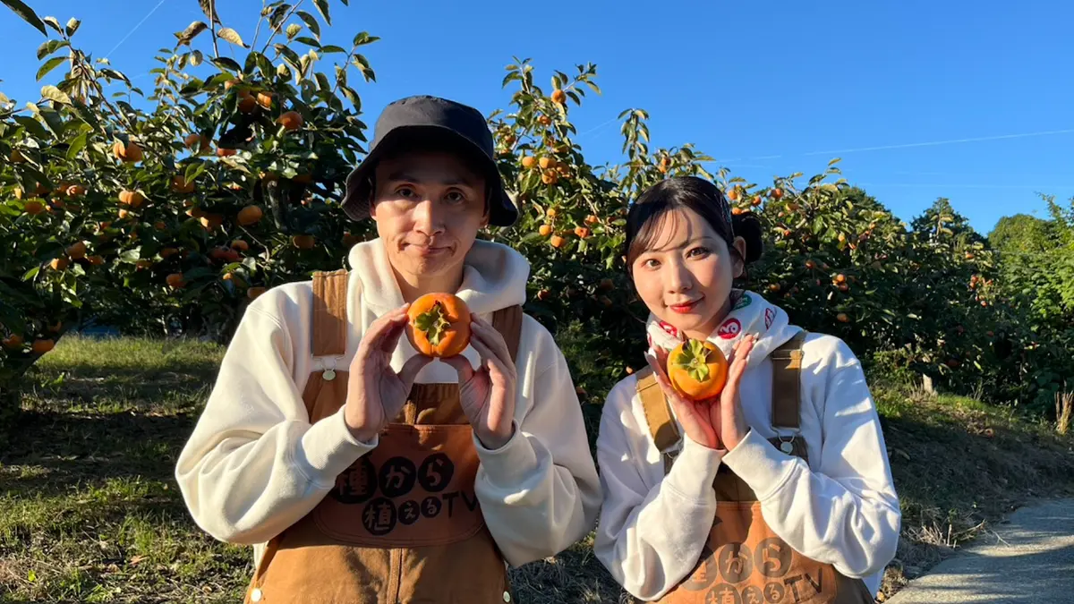 種から植えるTV 12月21日(日)放送分 第191回 次郎柿の収穫