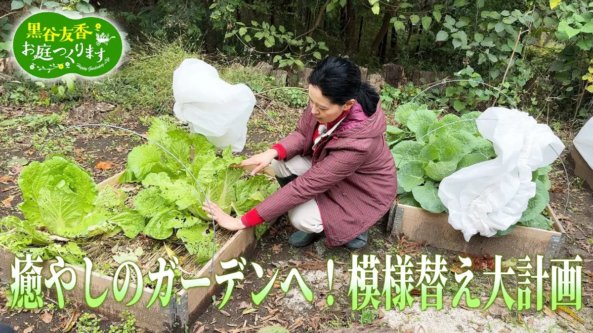 黒谷友香、お庭つくります 2月21日(土)放送分 第47回「癒やしの