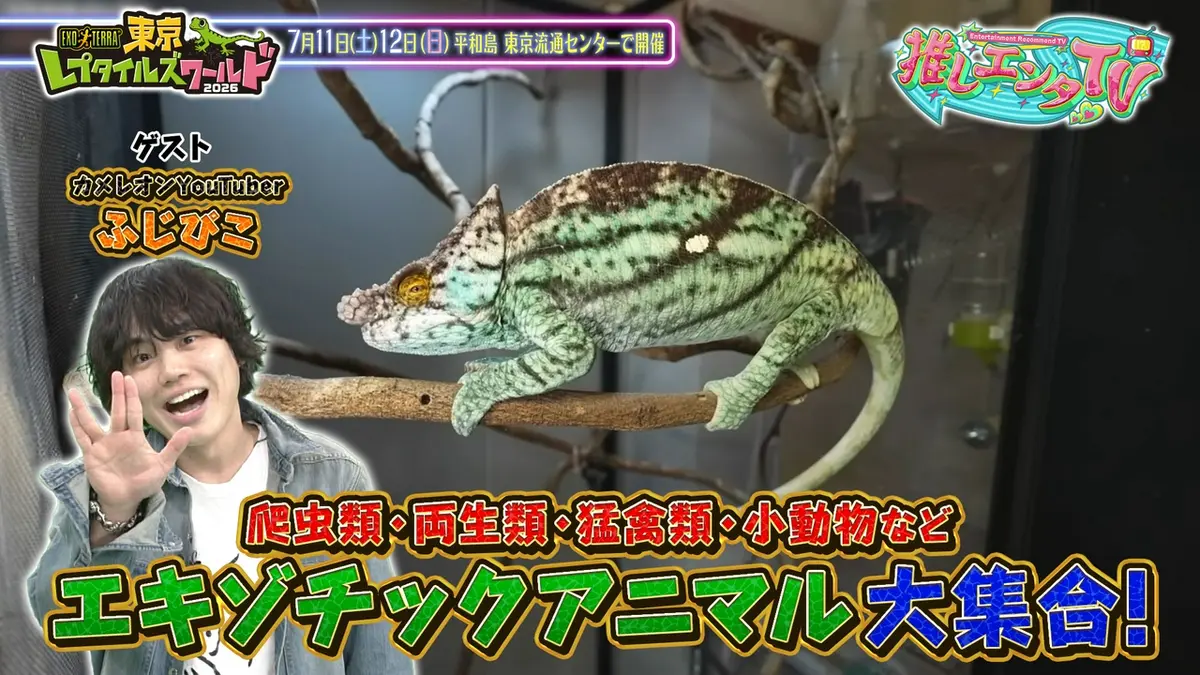 推しエンタTV 4月20日(月)放送分 2026年4月20日放送分｜バラエティ