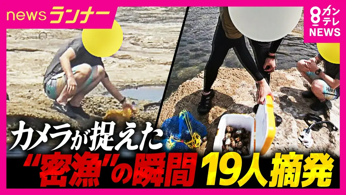 newsランナー 8月18日(火)放送分 カメラがとらえた“密漁”の瞬間 「泥棒