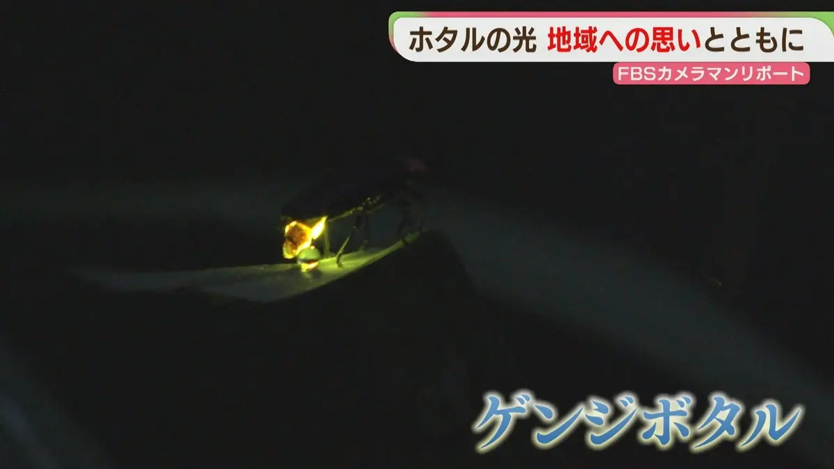 日テレNEWS NNN 6月14日(日) 7:05 ホタルの光を子どもたちに ふるさと