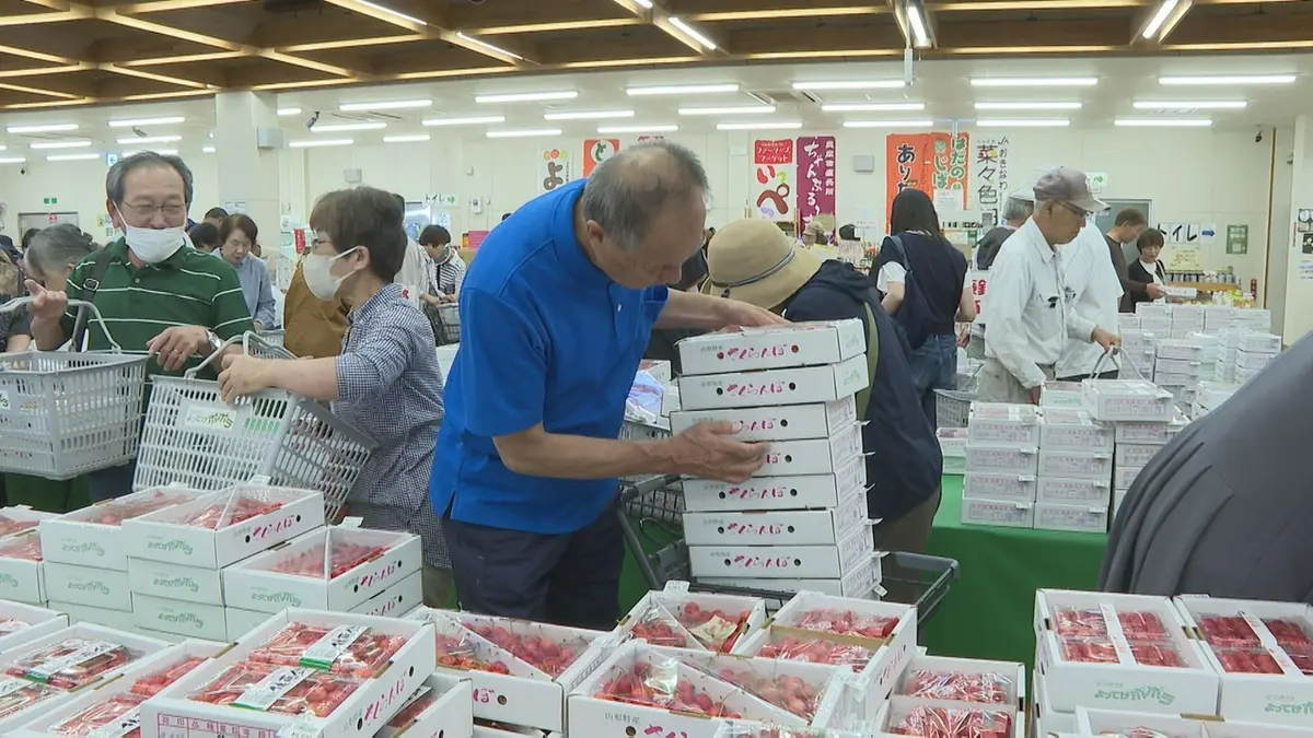 日テレNEWS NNN 6月16日(火) 19:52 サクランボシーズン本番 東根の産直