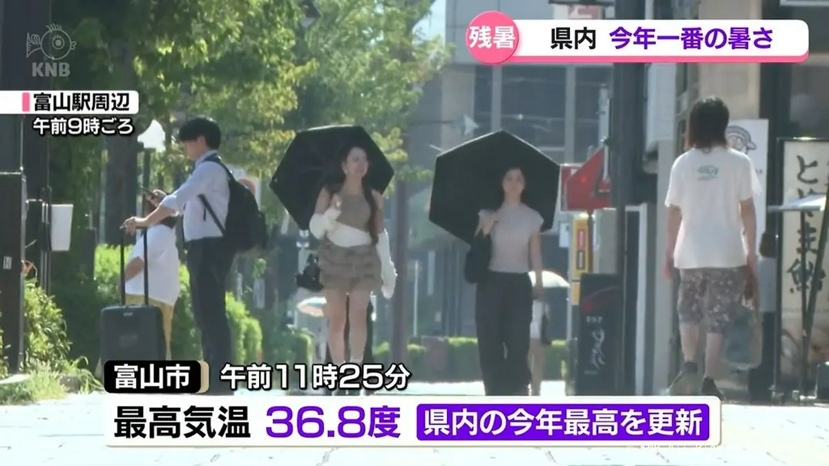 公の場での発言・インタビュー報道記録