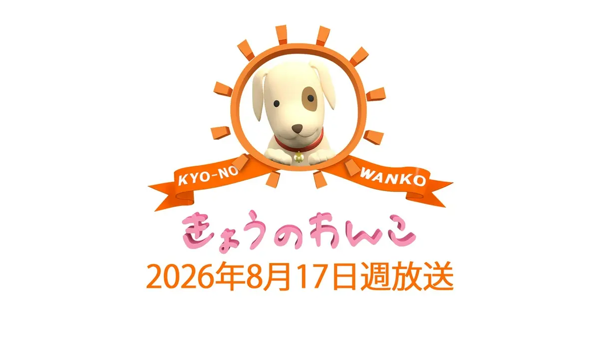 きょうのわんこ 2026/8/17週放送 2026/8/17週放送 きょうのわんこ