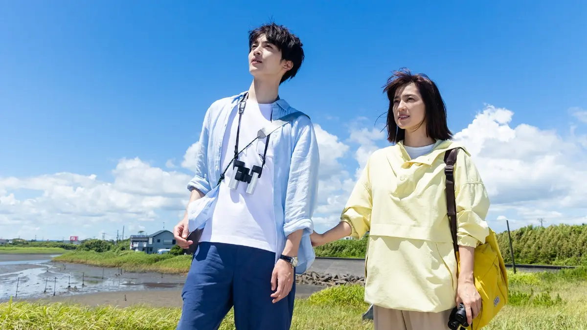 【DVD】TVドラマ NICE FLIGHT! 全巻まとめ 4巻セット NICE FLIGHT! DVD-BOXで仕事と恋を堪能しよう