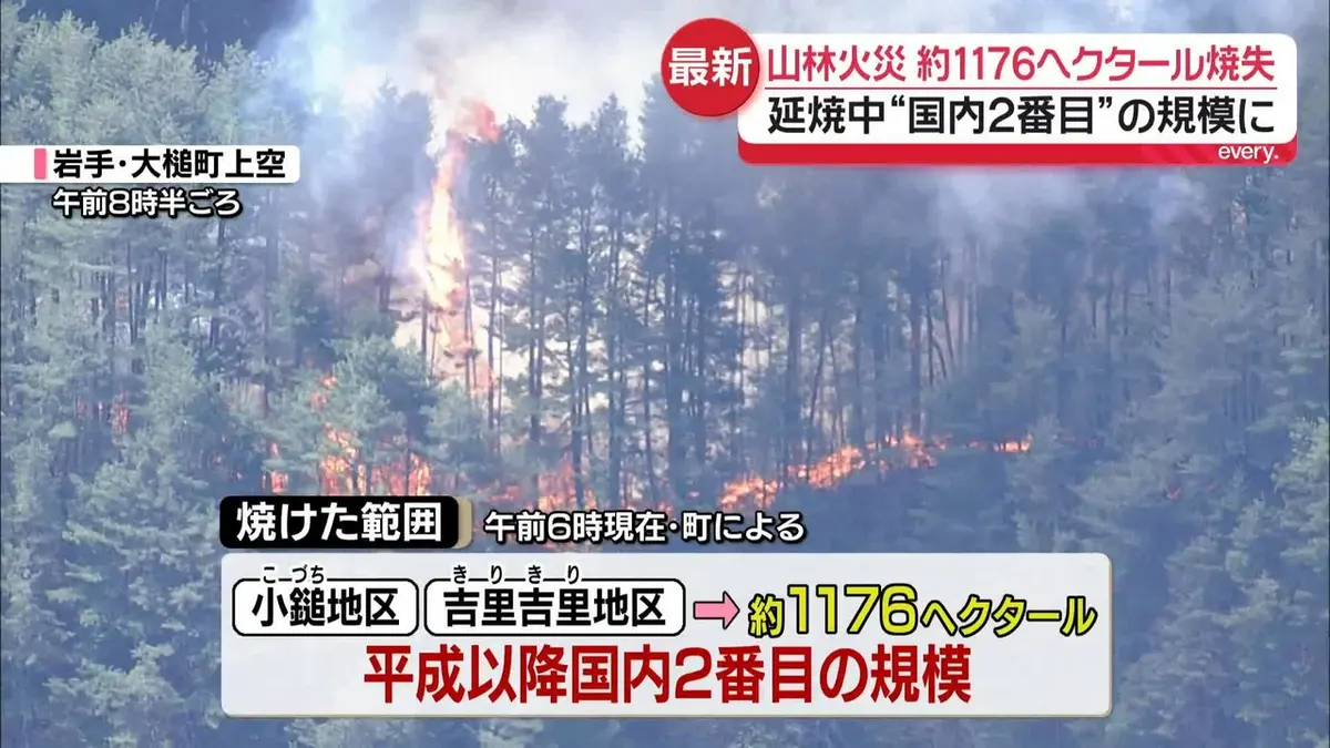 日テレNEWS NNN 4月24日(金) 16:58 岩手・山林火災 約1176ヘクタール