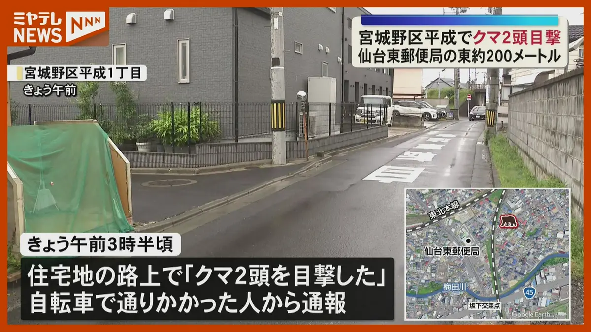 日テレNEWS NNN 7月2日(木) 13:07 「クマ2頭を目撃した」宮城野区平成