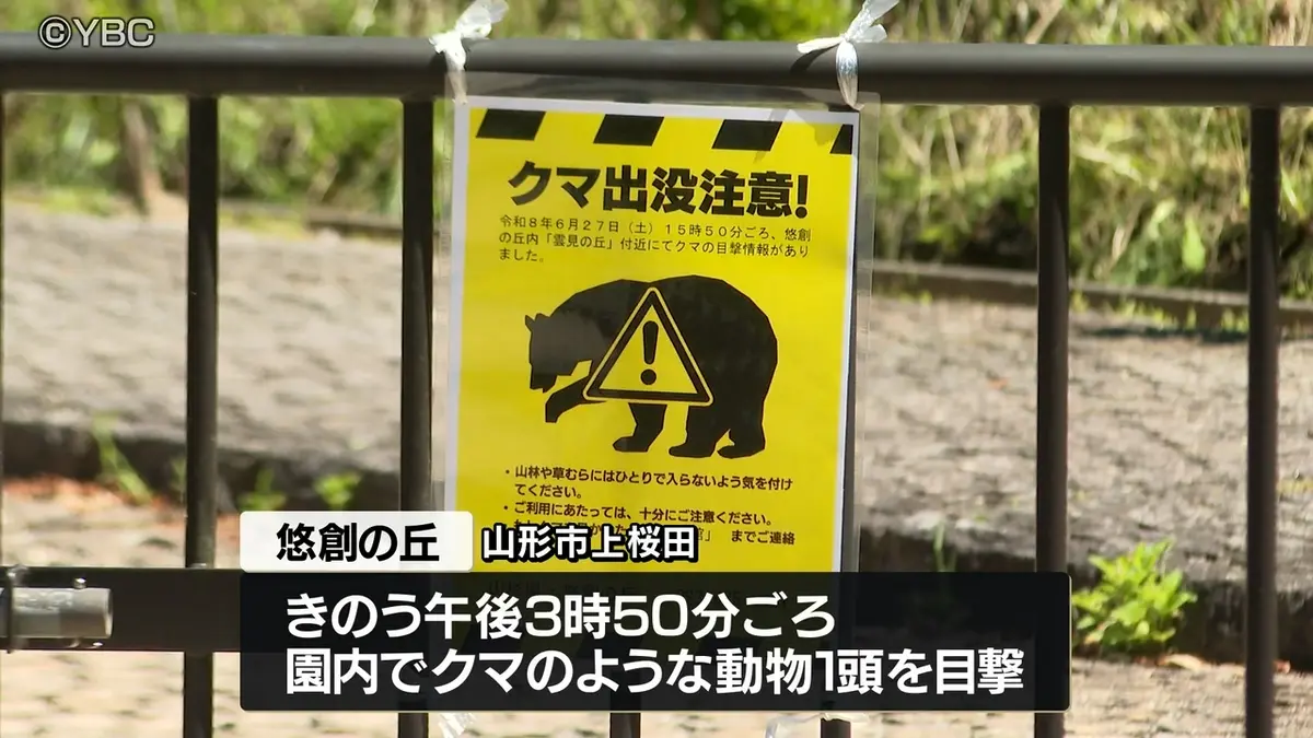 日テレNEWS NNN 6月28日(日) 12:36 公園内でクマのような動物を目撃