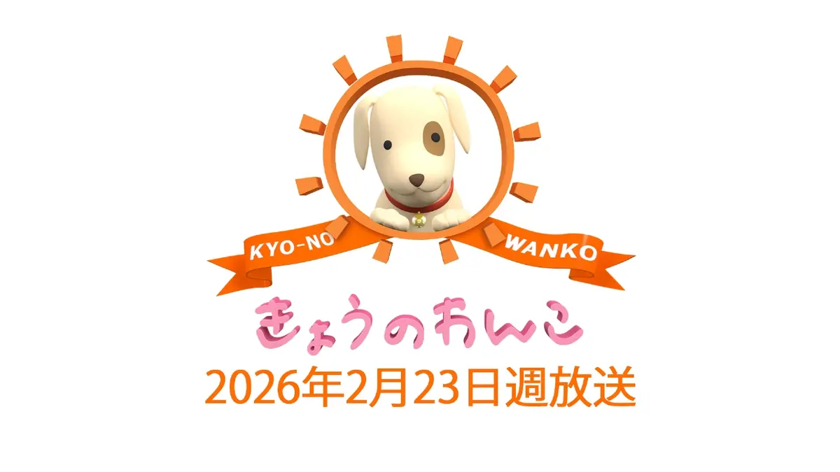 きょうのわんこ 2026/2/23週放送 2026/2/23週放送 きょうのわんこ