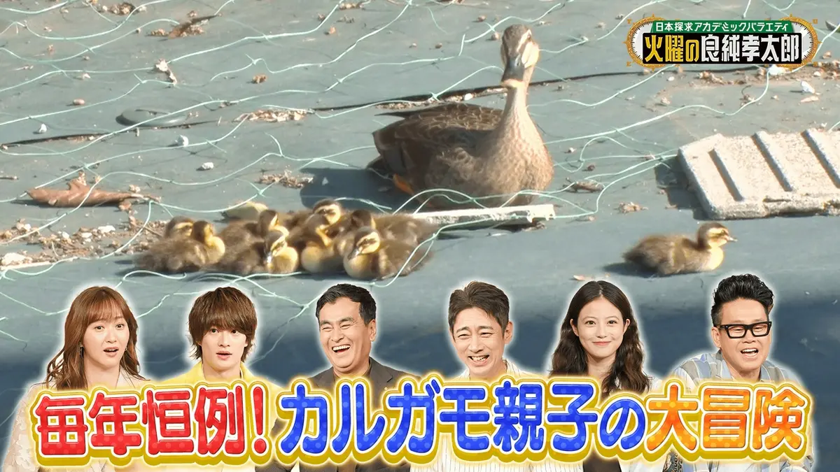 日本探求アカデミックバラエティ 火曜の良純孝太郎 7月7日(火)放送分