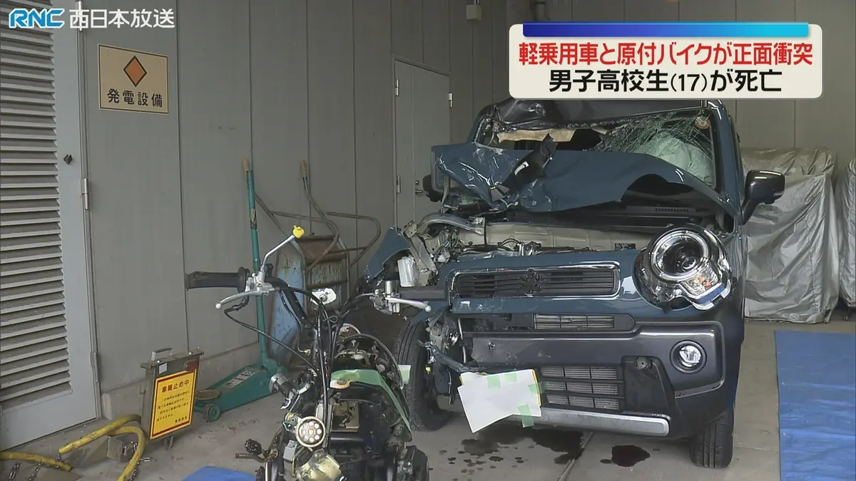 「現車確認の問い合わせ対応につき、一時受付停止」実働　リトルカブ　自賠責令和6年3月 日テレNEWS NNN 6月24日(水) 15:25 軽乗用車と原付バイクが衝突 男子