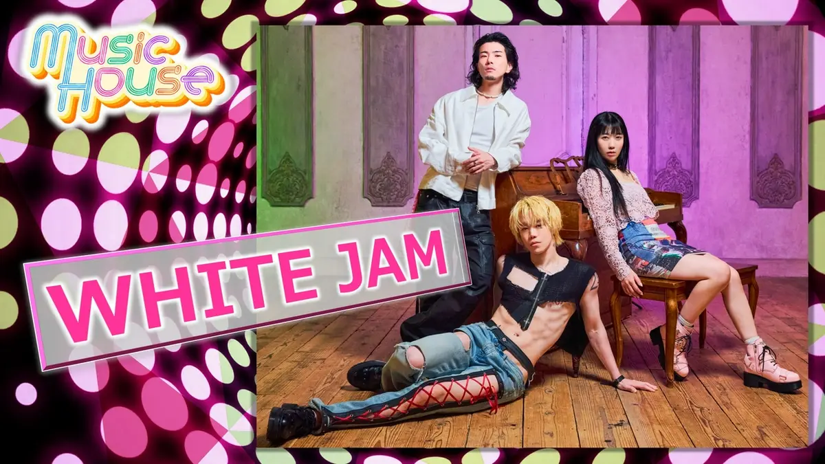 Music House 4月5日(日)放送分 布の少なさと音楽性のギャップでシーン