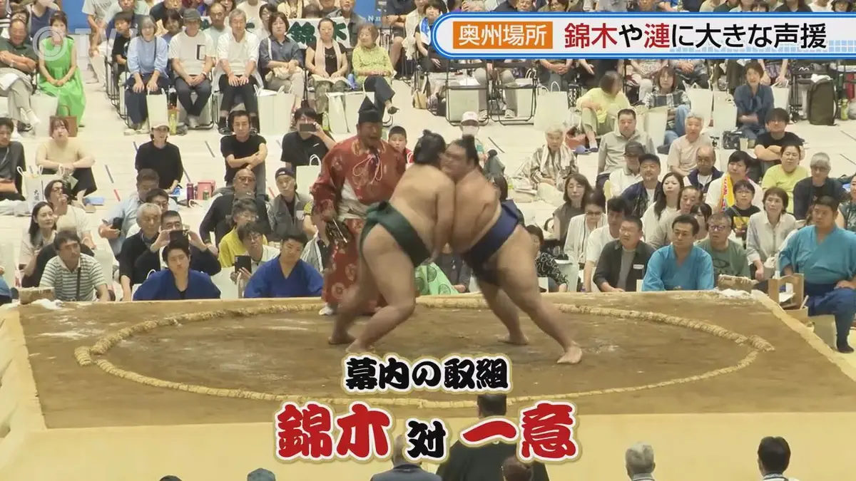 大相撲 夏 場所 動画