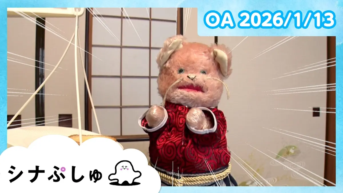 シナぷしゅ 1月13日(火)放送分 シナぷしゅ公式26/01/13｜バラエティ