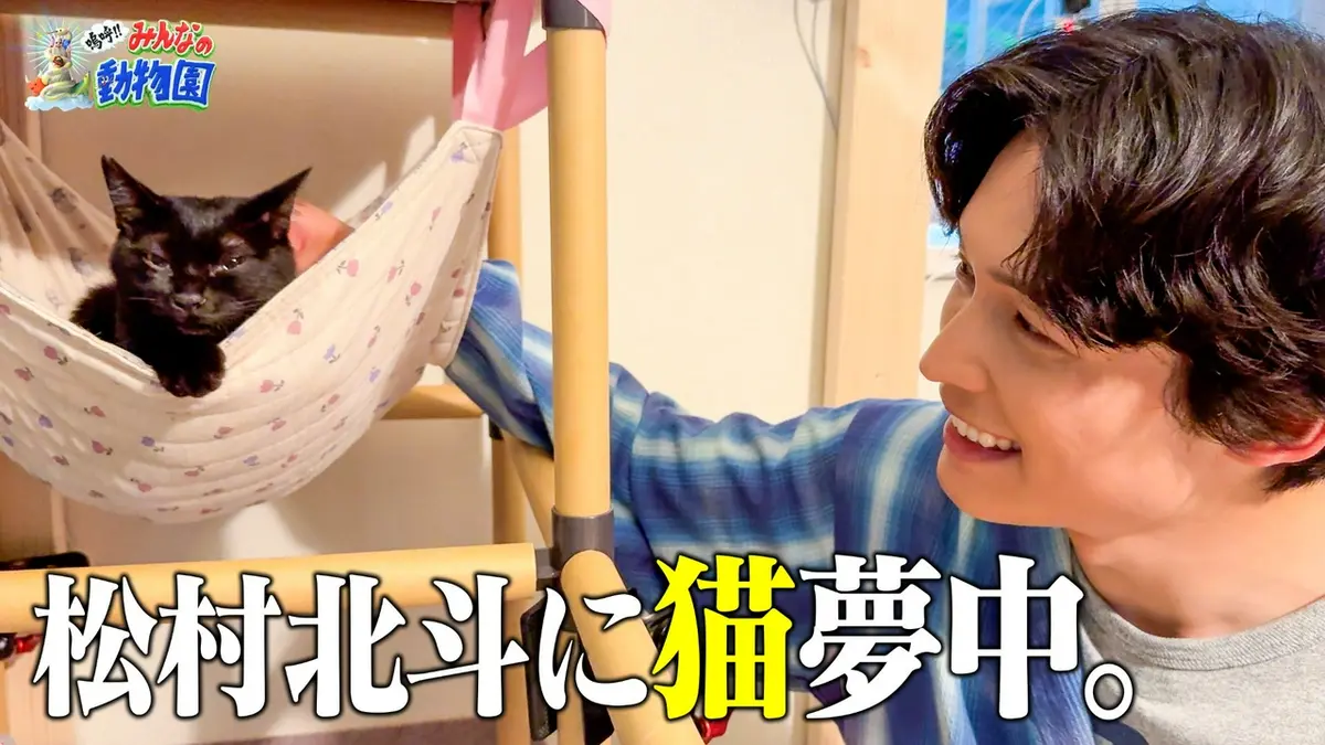 嗚呼!!みんなの動物園 7月11日(土)放送分 池崎一門!激かわ兄妹猫