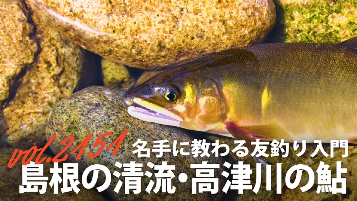 THEフィッシング 8月15日(土)放送分 名手に教わる友釣り入門 島根の
