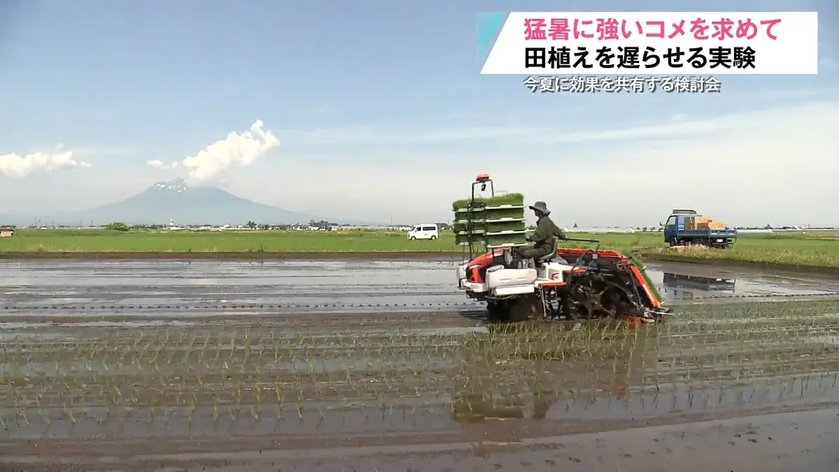 日テレNEWS NNN 6月15日(月) 20:18 「オール1等米を」青森県が田植え