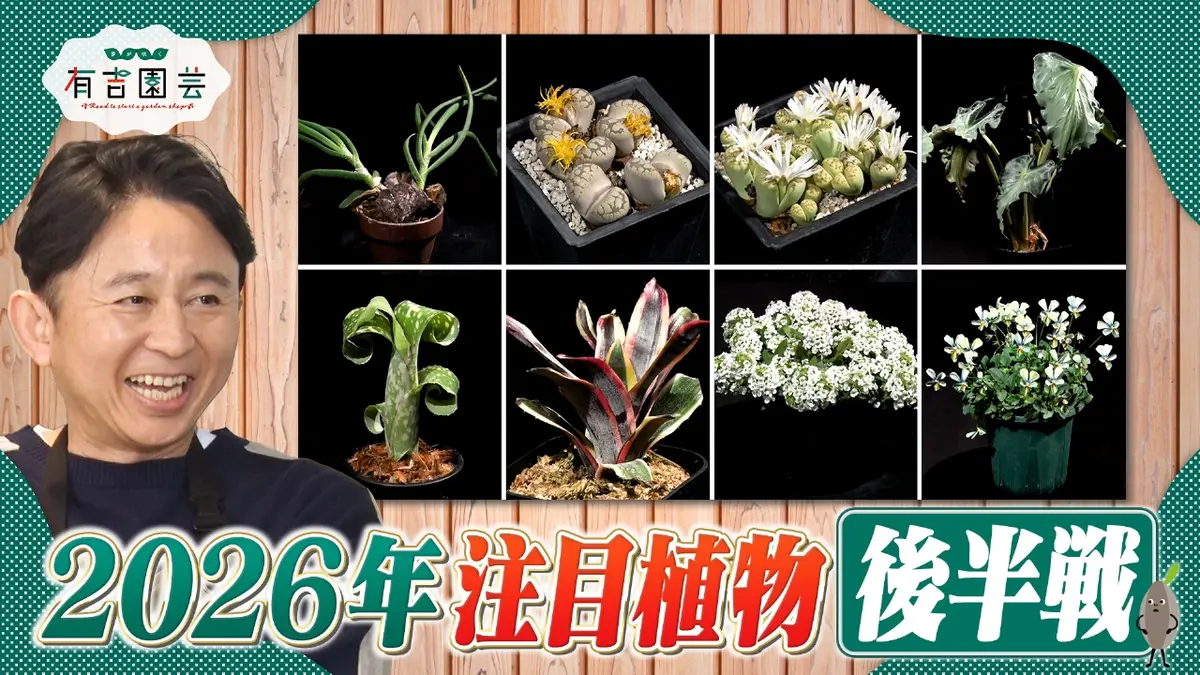 夢が咲く 有吉園芸～Road to start a garden shop～ 2月10日(火)放送分 