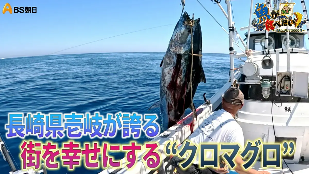 魚が食べたい！ ～地魚さがして3000港～ 8月12日(水)放送分 長崎県の