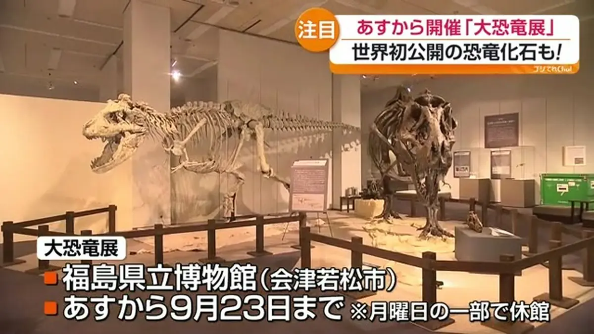 日テレNEWS NNN 7月10日(金) 18:35 世界初公開の恐竜化石も 会津若松市
